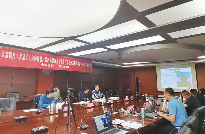 云南酸角（罗望子）良种筛选、栽培关键技术研发及产业化开发利用 anli.jpg